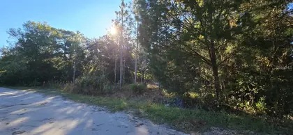 HOMOSASSA FL Property