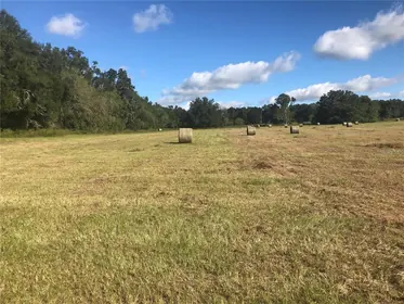 REDDICK FL Property