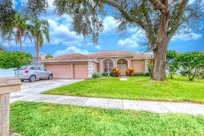 PALM HARBOR FL Home