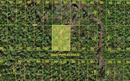 PLACIDA FL Property