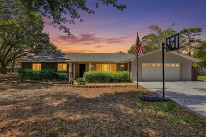 ODESSA FL Home