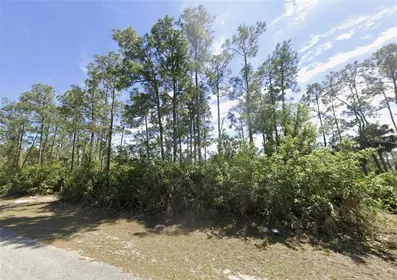LEHIGH ACRES FL Property