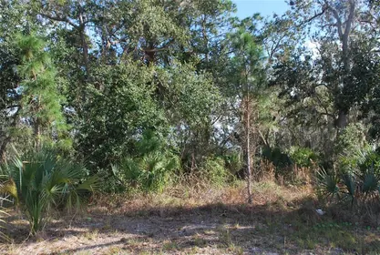 EDGEWATER FL Property