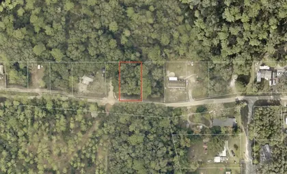 ALTOONA FL Property