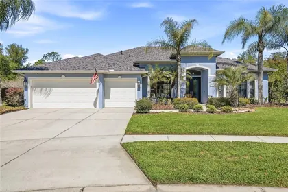 WESLEY CHAPEL FL Home
