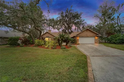 PLANT CITY FL Home
