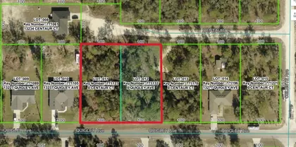 WEEKI WACHEE FL Property