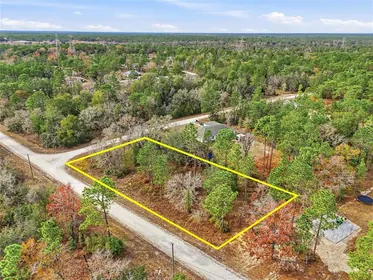 BROOKSVILLE FL Property