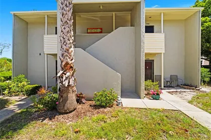 TARPON SPRINGS FL Home