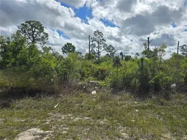 LEHIGH ACRES FL Property