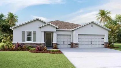 PLANT CITY FL Home