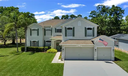 ODESSA FL Home