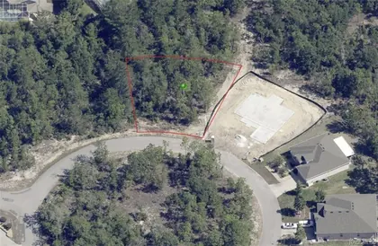 HOMOSASSA FL Property