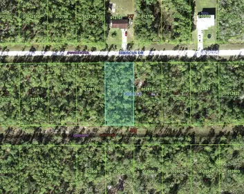 INDIAN LAKE ESTATES FL Property