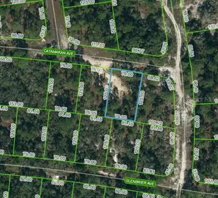 LAKE PLACID FL Property