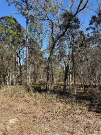 DUNNELLON FL Property