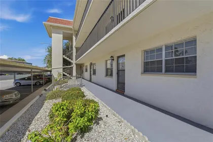 DUNEDIN FL Home