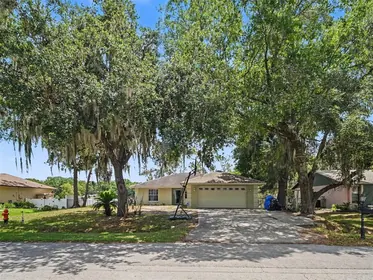 MULBERRY FL Home