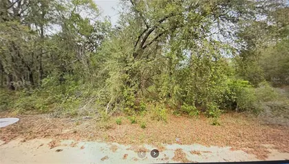 INTERLACHEN FL Property