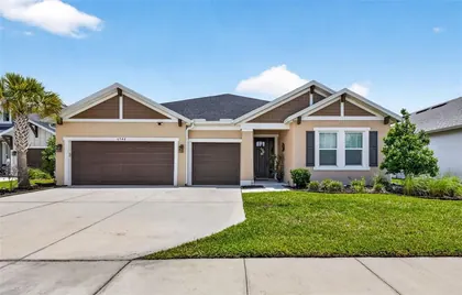 WESLEY CHAPEL FL Home