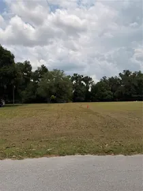 WEBSTER FL Property