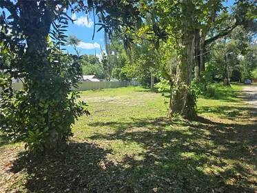 PLANT CITY FL Property