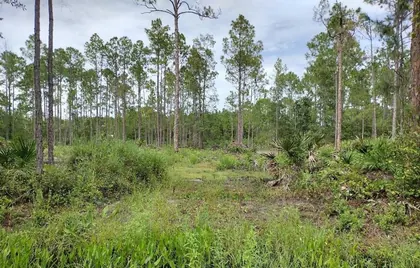 BUNNELL FL Property