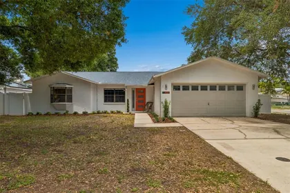 TAMPA FL Home