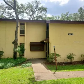 TAMPA FL Home