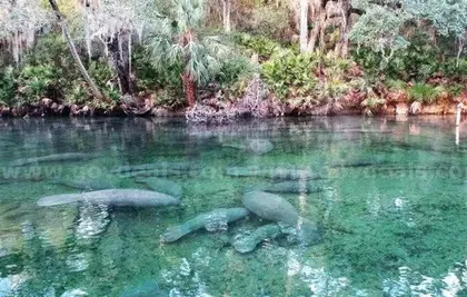 DELAND FL Property