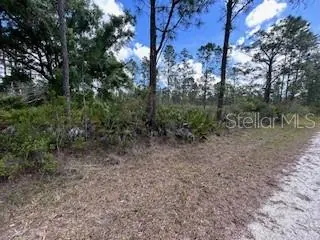 INDIAN LAKE ESTATES FL Property