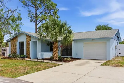 TAMPA FL Home