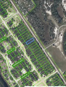 LAKE PLACID FL Property