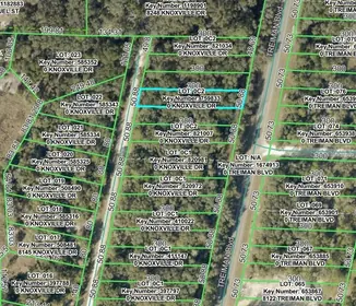 WEBSTER FL Property