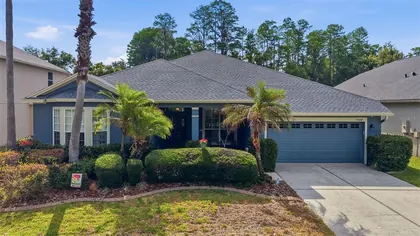 LAND O LAKES FL Home