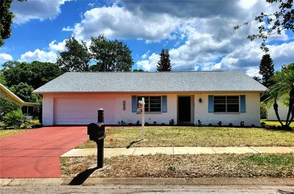 PALM HARBOR FL Home
