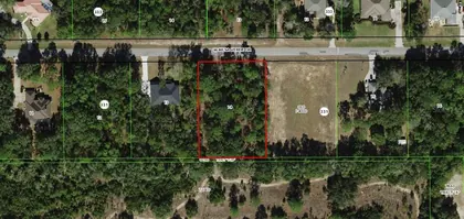 BEVERLY HILLS FL Property