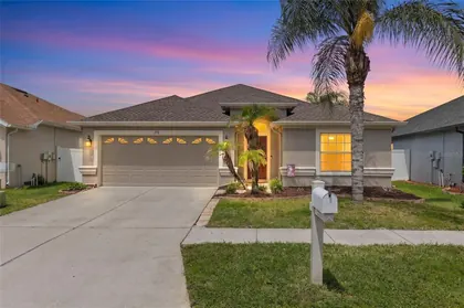WESLEY CHAPEL FL Home