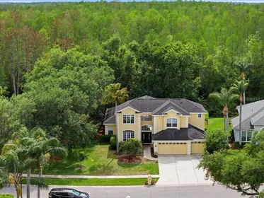 LUTZ FL Home