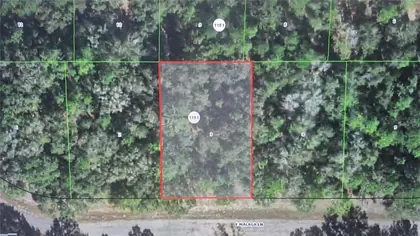 DUNNELLON FL Property