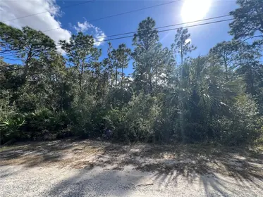 CRYSTAL RIVER FL Property