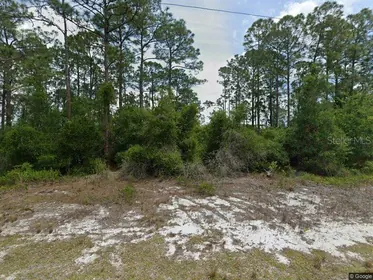LAKE PLACID FL Property