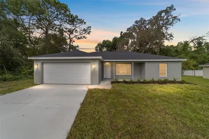 OCKLAWAHA FL Home