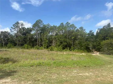 OCALA FL Property