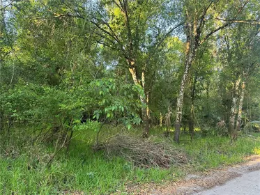 ARCADIA FL Property