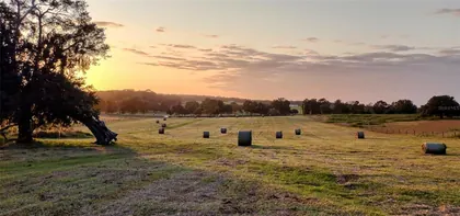 INVERNESS FL Property