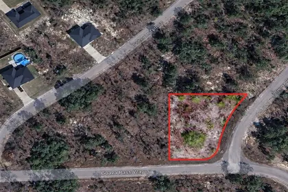 OCKLAWAHA FL Property