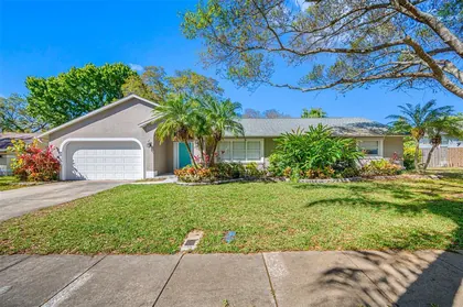 CLEARWATER FL Home