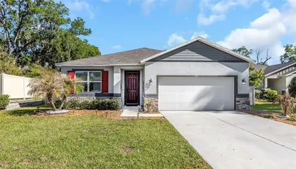 SEFFNER FL Home