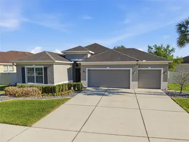 LITHIA FL Home